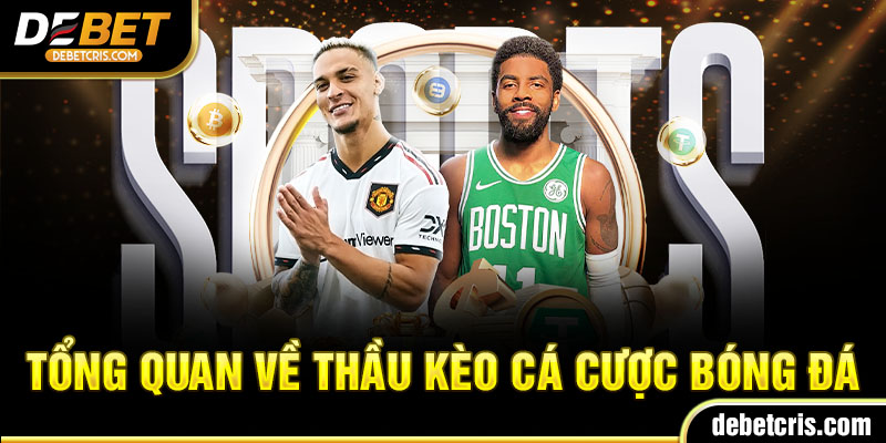 Tổng quan về thầu kèo cá cược bóng đá Debet